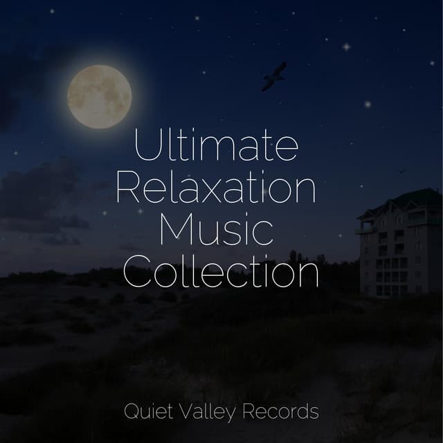 Ultimate Relaxation Music Collection - It's Raining