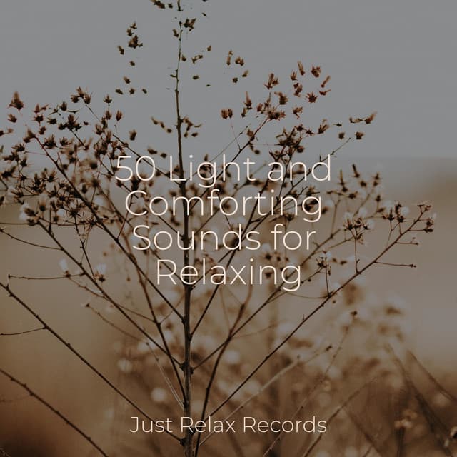 50 Light and Comforting Sounds for Relaxing - Meditation Relaxation Club