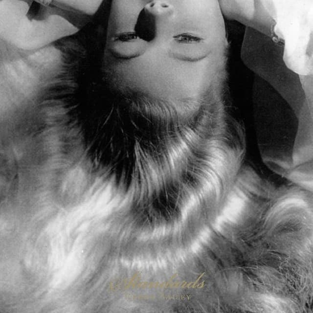 Standards - Derek Bailey