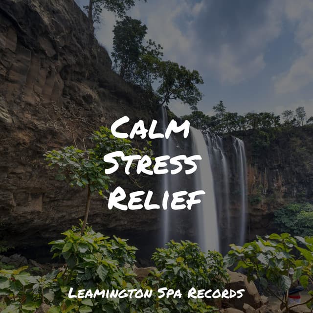 Calm Stress Relief - Ambient Forest