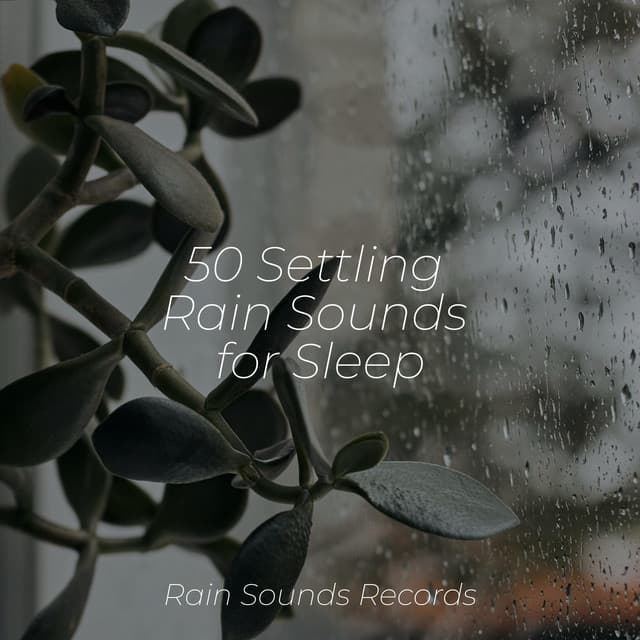 50 Settling Rain Sounds for Sleep - Nature Sound Collection