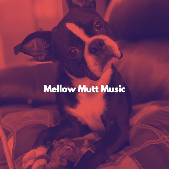 Mellow Mutt Music - Musica para Perros