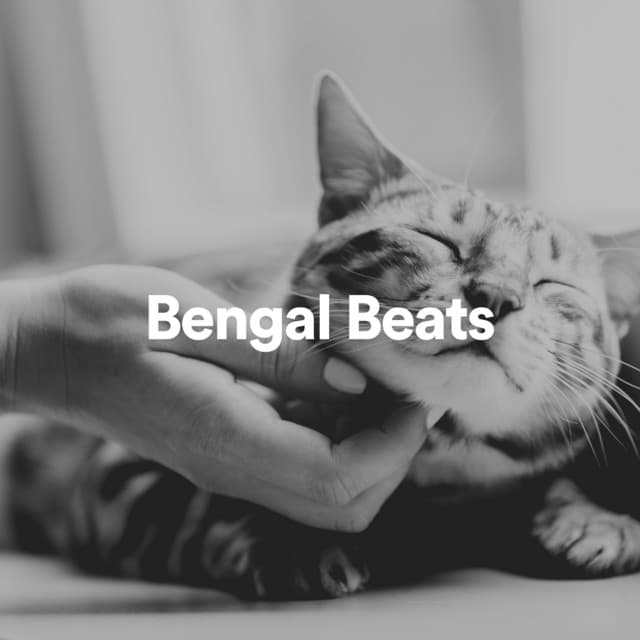 Bengal Beats - Music for Cats Peace