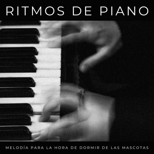 Ritmos De Piano: Melodía Para La Hora De Dormir De Las Mascotas - Lista de reproducción de piano clásico