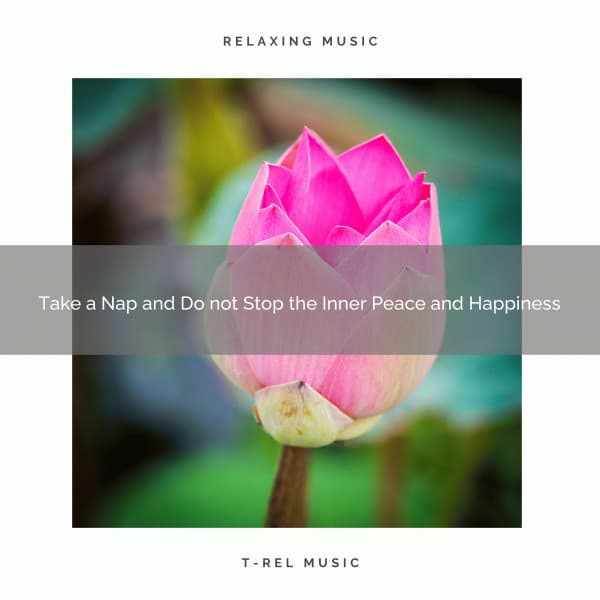 Take a Nap and Do not Stop the Inner Peace and Happiness - Feel The Power Channel