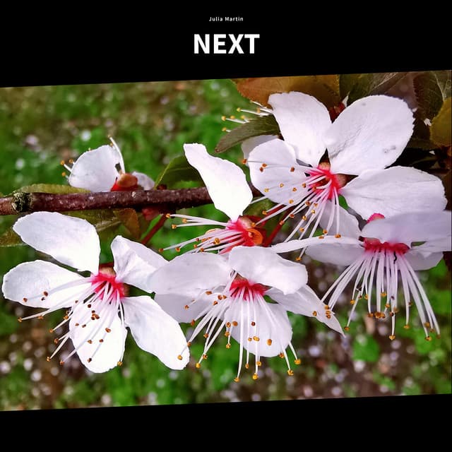 Next - Julia Martin