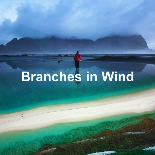 Branches in Wind - Nature's Symphony