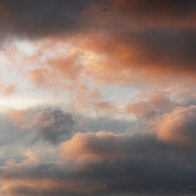 360 Vibe Machine: Forever Great - Lofi Chill