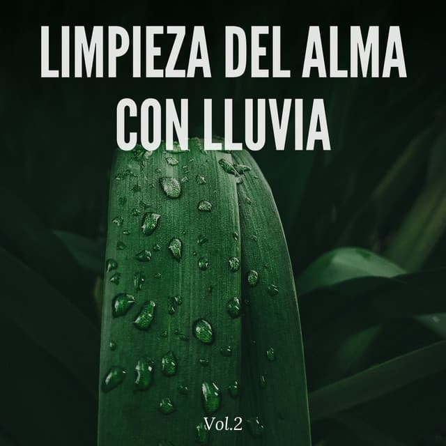 Limpieza del alma con lluvia Vol.2 - Sonidos de la Naturaleza JBE