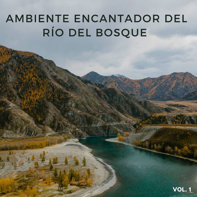 Ambiente Encantador Del Río Del Bosque Vol. 1 - Rios y corrientes
