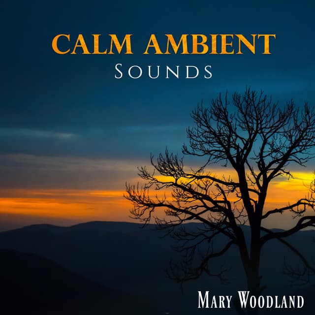 Calm Ambient Sounds - Mary Woodland