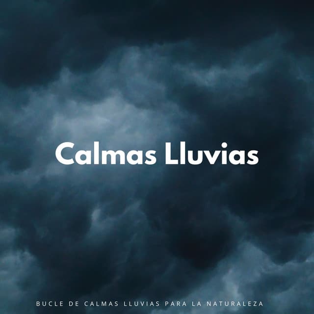 Bucle De Calmas Lluvias Para La Naturaleza - Palacio de la lluvia