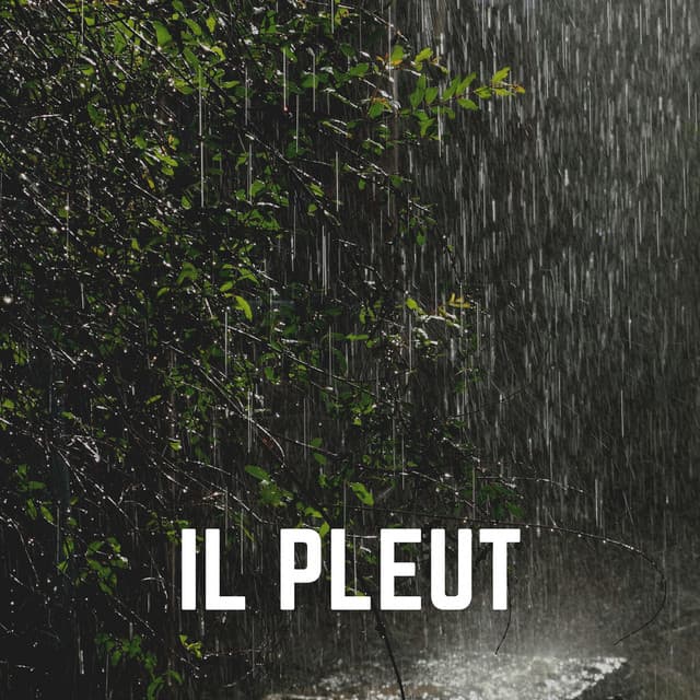Il Pleut - Hi-Def FX