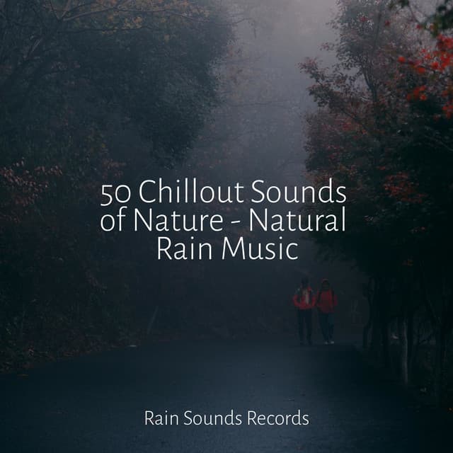 50 Chillout Sounds of Nature - Natural Rain Music - Sleepy Night Music