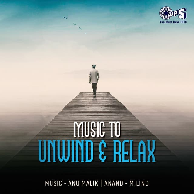 Music To Unwind & Relax - Anand-Milind