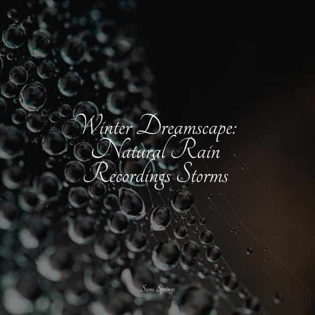 50 Essential Summer Rain Sounds - Natureza Musica Bem-Estar Academia