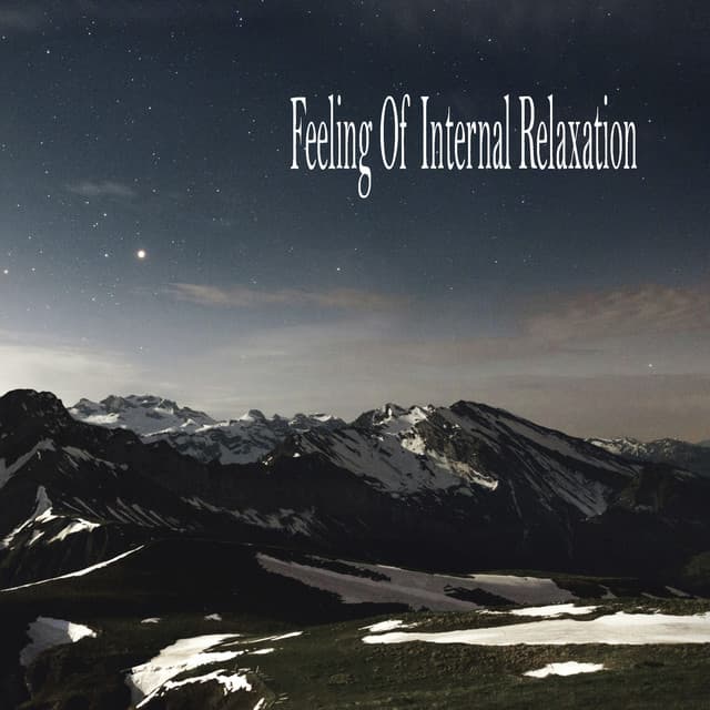 Feeling Of Internal Relaxation - Naturaleza Sonidos