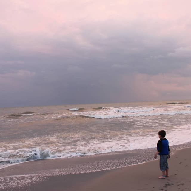 Brown Noise Wave Collection - White Noise Babies