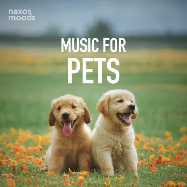 Music for Pets - Ferruccio Busoni
