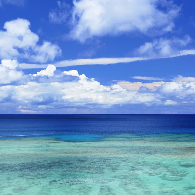 Tranquil Seascapes: Ethereal Melodies Across Quiet Ocean Waves - Reiki Healing Academy