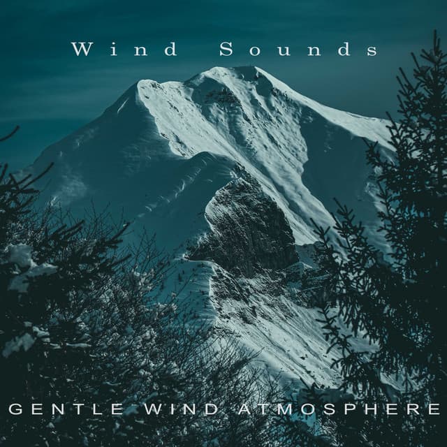 Gentle Wind Atmosphere - Wind Sounds