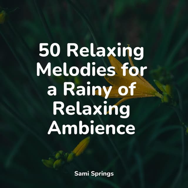 50 Relaxing Melodies for a Rainy of Relaxing Ambience - Pro Sound Effects Library