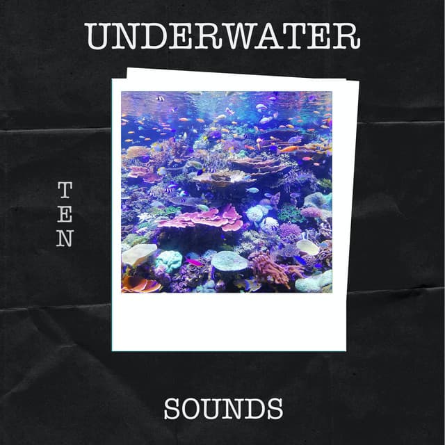 Underwater Sounds