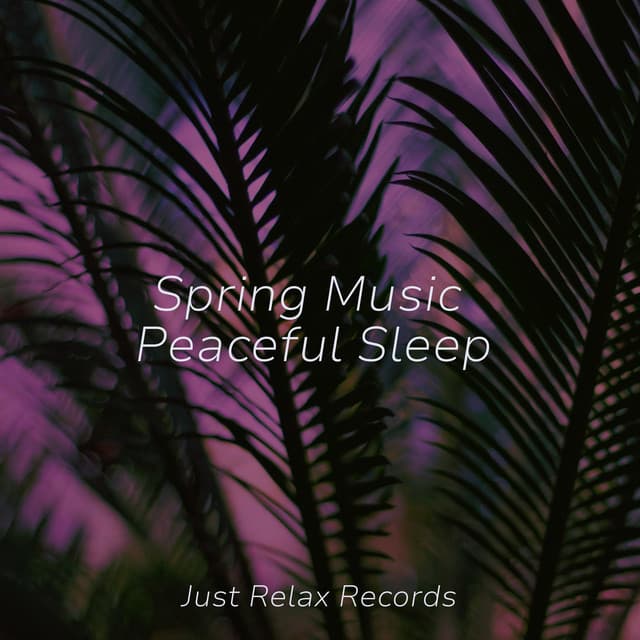 Spring Music Peaceful Sleep - Happy Baby Lullaby Collection