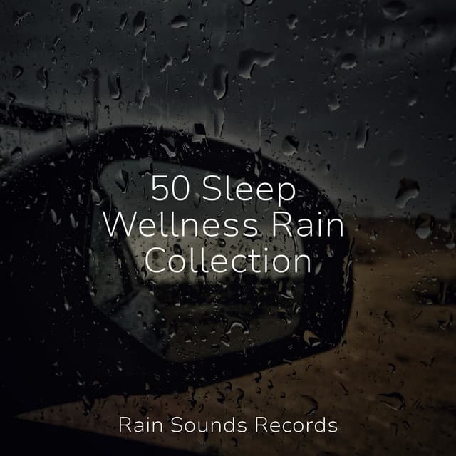 50 Sleep Wellness Rain Collection - Cascada de Lluvia