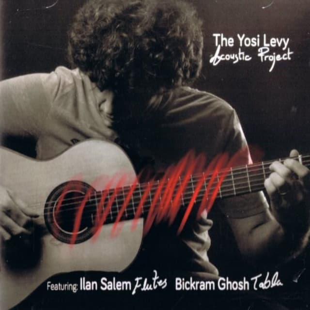 Acoustic Project - Yosi Levy