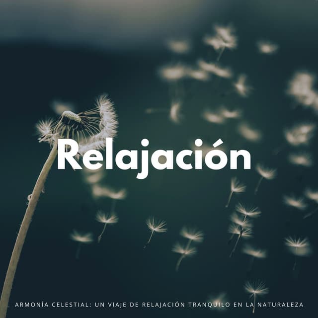 Armonía Celestial: Un Viaje De Relajación Tranquilo En La Naturaleza - Vibraciones Tranquilas