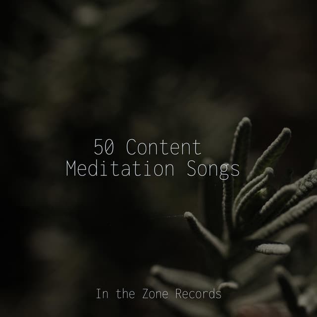 50 Content Meditation Songs - kinderliedjes