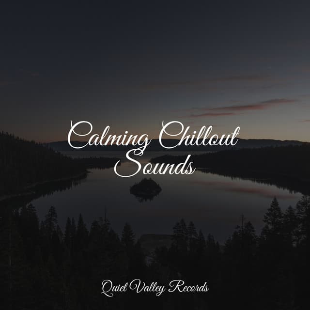 Calming Chillout Sounds - Crying & Colic Relief