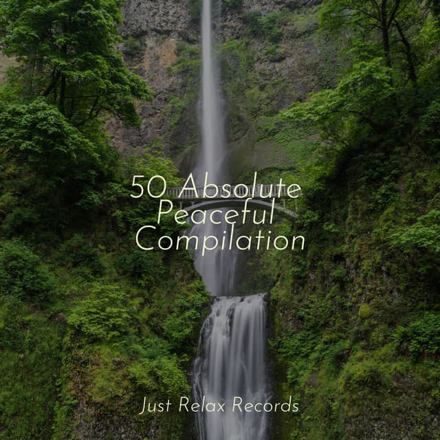 50 Absolute Peaceful Compilation - Soothing Sounds