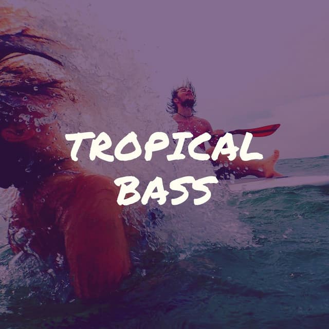 Tropical Bass - Rain Sound Plus