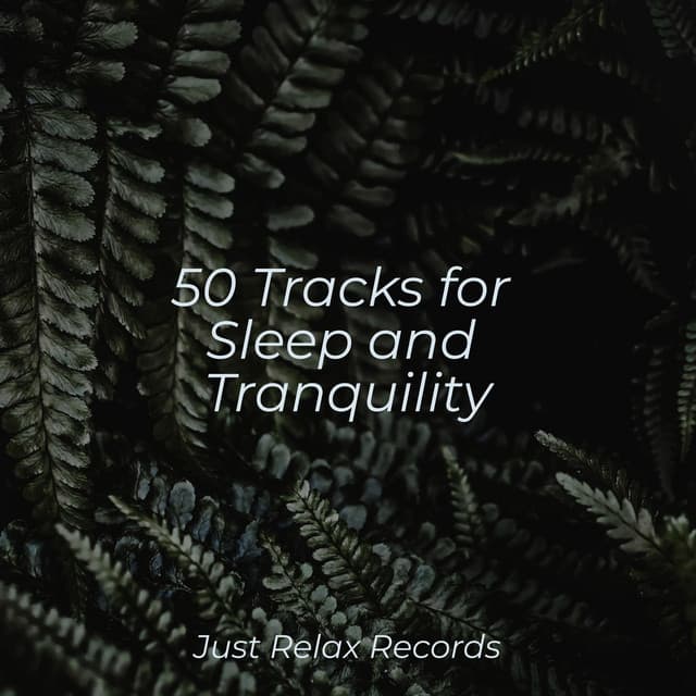 50 Tracks for Sleep and Tranquility - Nature Sound Collection
