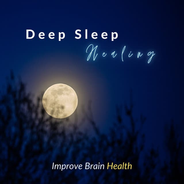 Sleep Music α