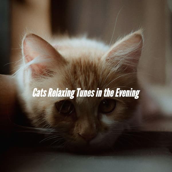 Cats Relaxing Tunes in the Evening - Instrumental Soft Jazz