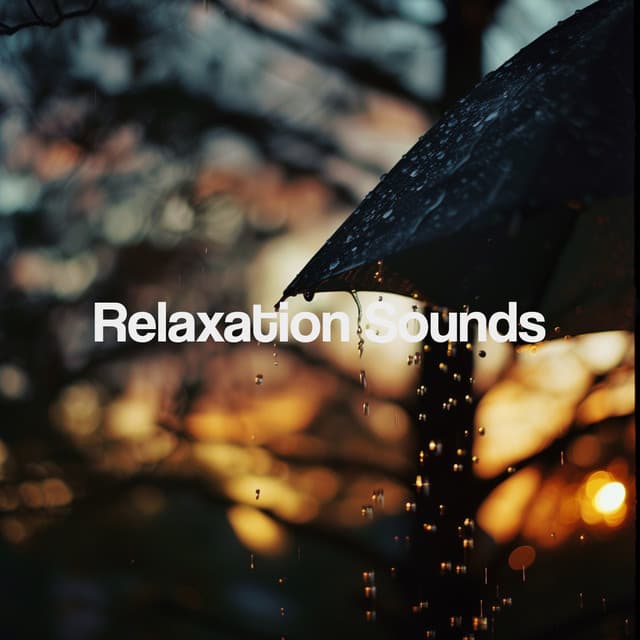 Relaxation Sounds - Meditation Rain Sounds