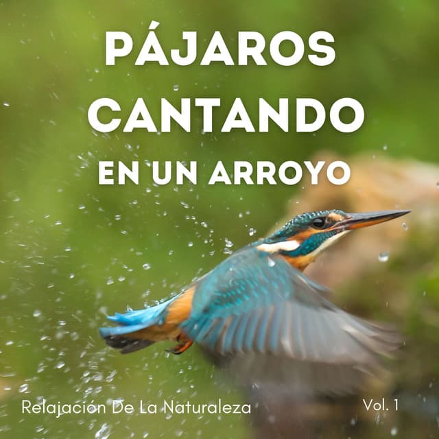 Relajacion Total