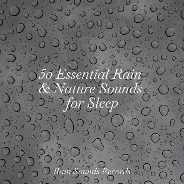 50 Essential Rain & Nature Sounds for Sleep - Ocean Waves For Sleep