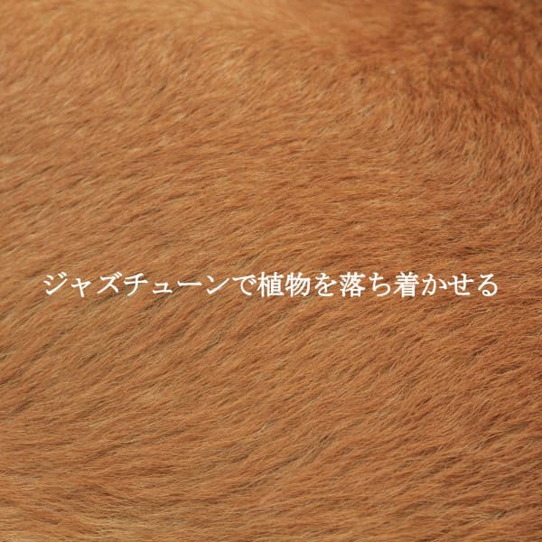 ジャズチューンで植物を落ち着かせる - Music for Retail Greats