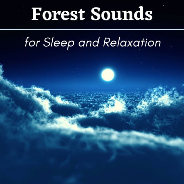 Forest Sounds for Sleep and Relaxation - Sleep Songs Divine