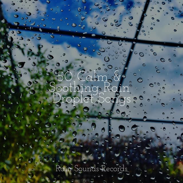 50 Calm & Soothing Rain Droplet Songs - Lucid Dreaming Music