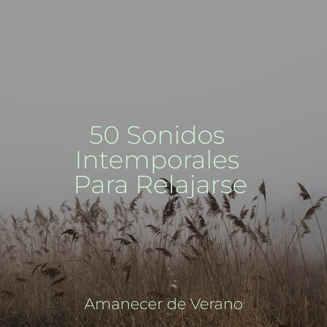 50 Sonidos Intemporales Para Relajarse - Sonidos de la Naturaleza Relajacion