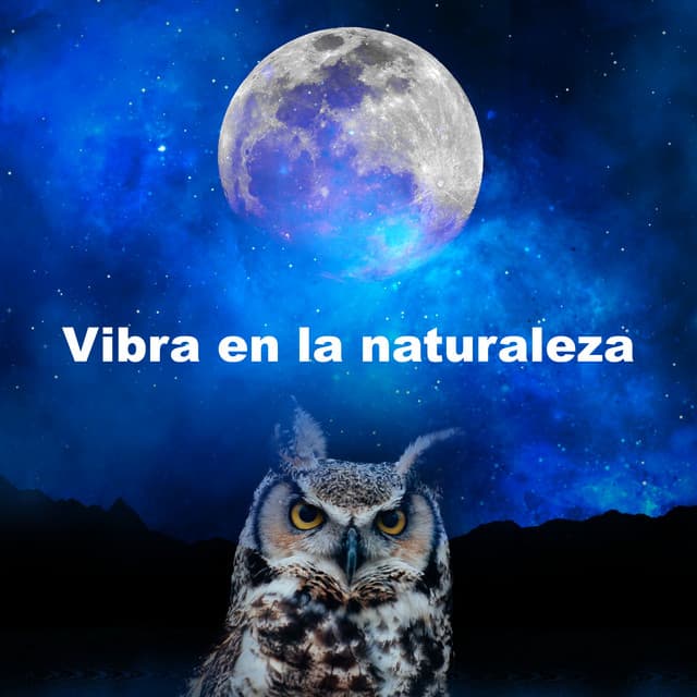 Vibra en la naturaleza - Sonidos de la Naturaleza Relajacion