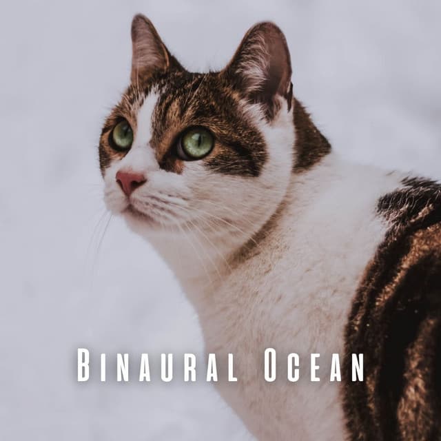 Binaural Ocean: Theta Wave for Cats' Peace - Wind and Oceans