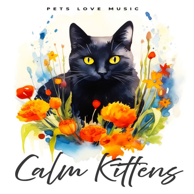Calm Kittens - PETS LOVE MUSIC