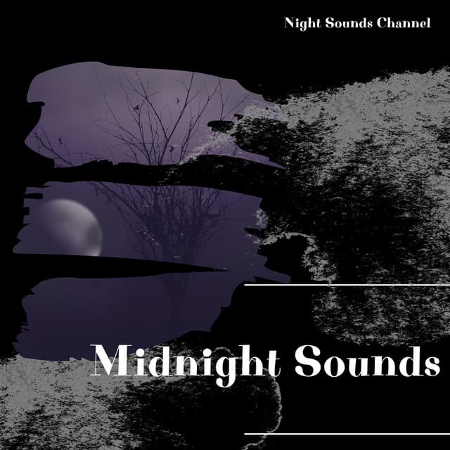 Midnight Sounds: Serene Night - Night Sounds Channel