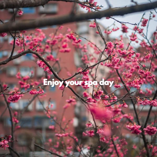 Enjoy your spa day - Gypsy Jazz Playlist